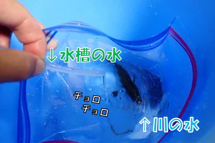水合わせ