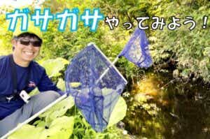 ガサガサ