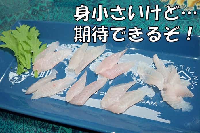 スズメダイ　刺身