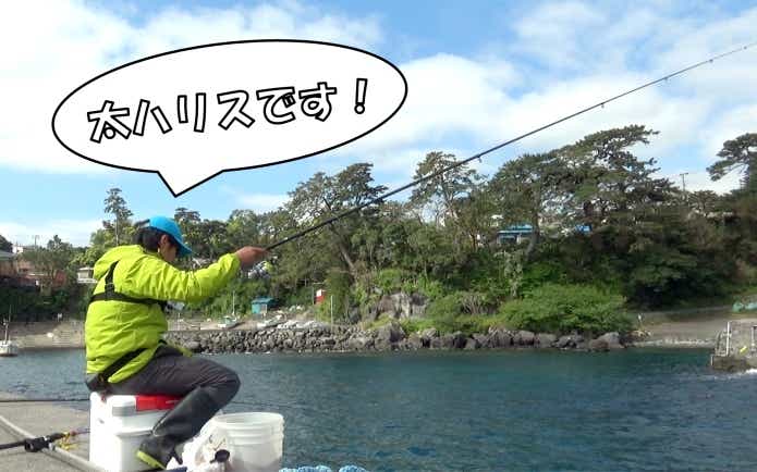 Amazonで買った水中ライブカメラをレビュー。“究極の見釣り”が Amazonで買った水中ライブカメラをレビュー。“究極の見釣り”が
