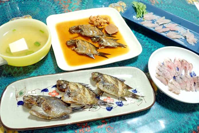 スズメダイ　料理