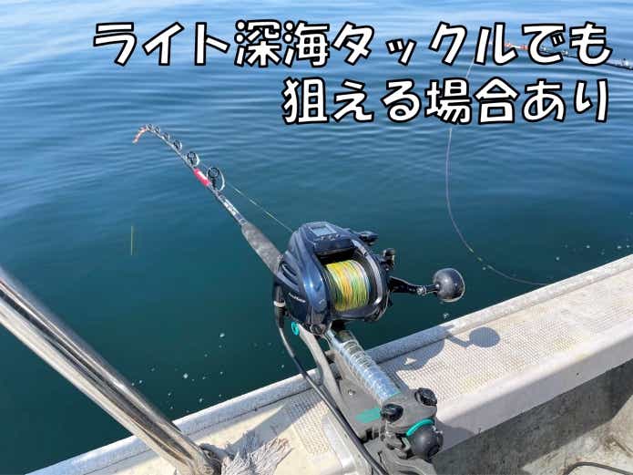 赤魚　アコウダイ　釣り