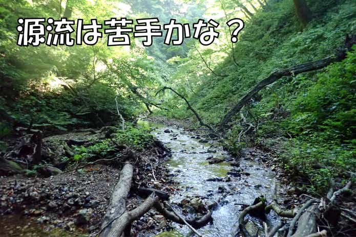 Dインサイト　源流