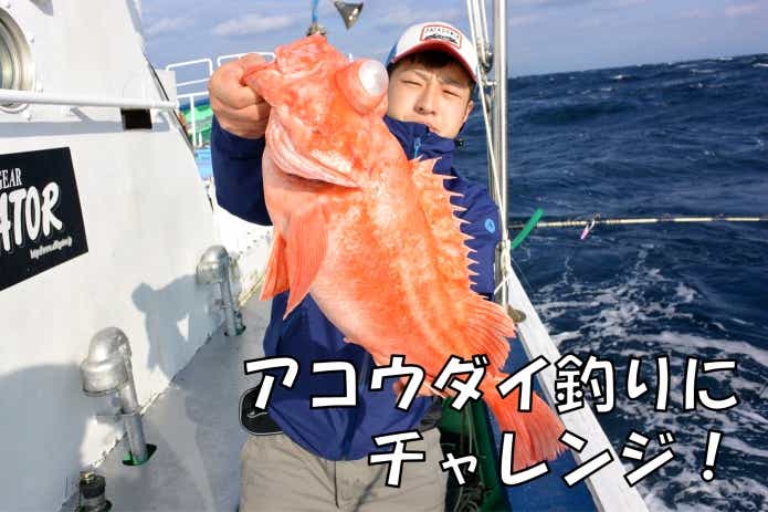 赤魚　釣り