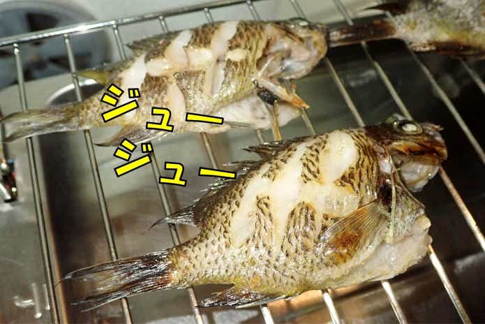 スズメダイ　塩焼き