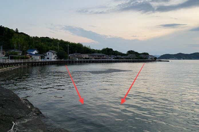 ナブラの画像