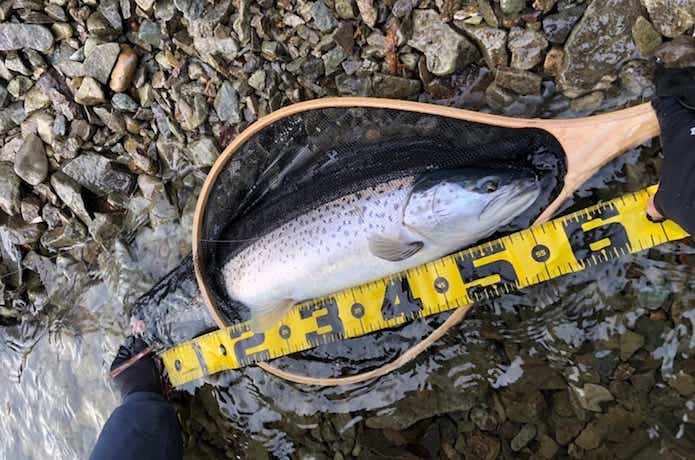 トラウト釣りの聖地“支笏湖”】日本記録に迫る大型のブラウントラウト