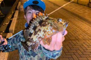 夏休みに最適なカサゴ釣り