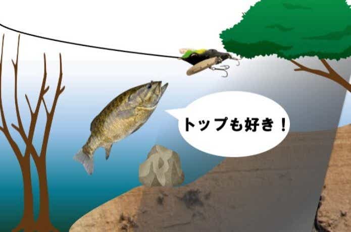 スモールマウスバス　トップウォーター