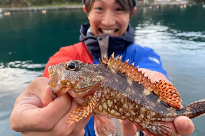 カサゴ釣り