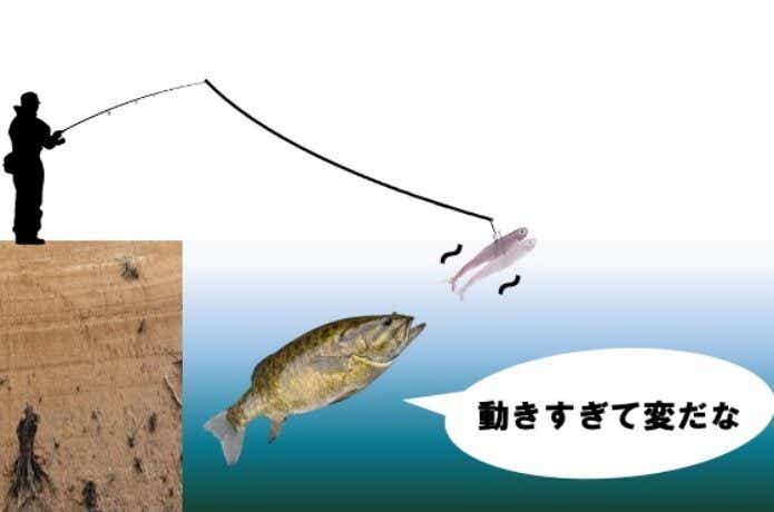 スモールマウスバス　釣り方