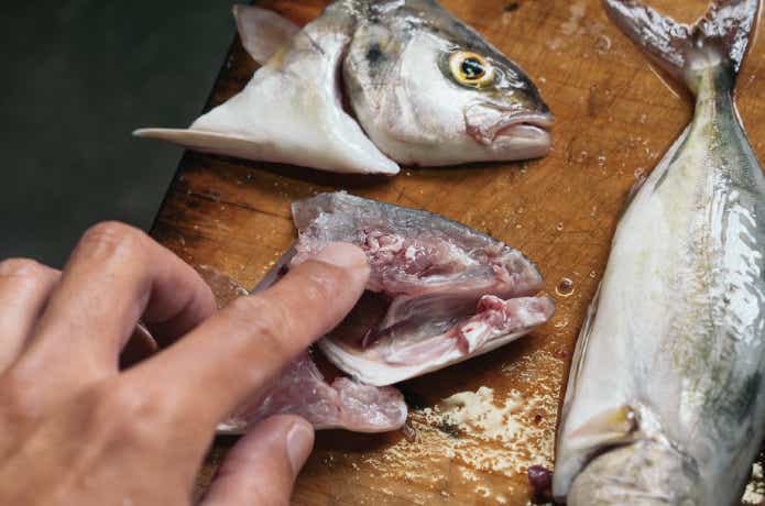 魚　脳