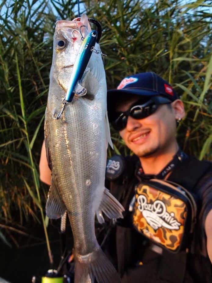シャローでの釣果