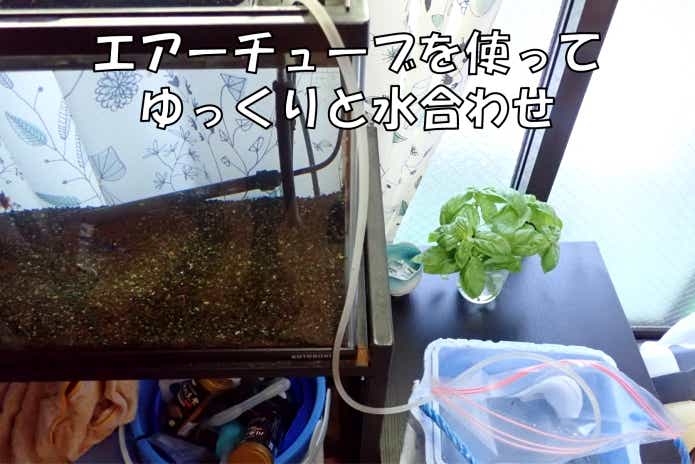 水合わせ　やり方