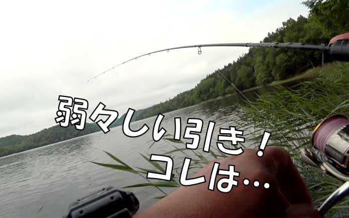 チミケップ湖　釣り