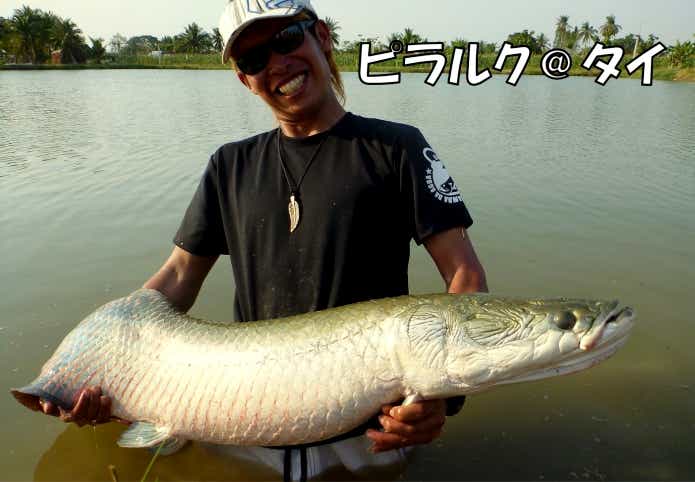 ピラルク　怪魚　釣り堀
