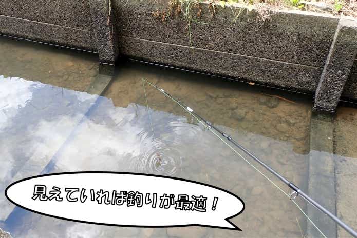 ヨシノボリ　釣り