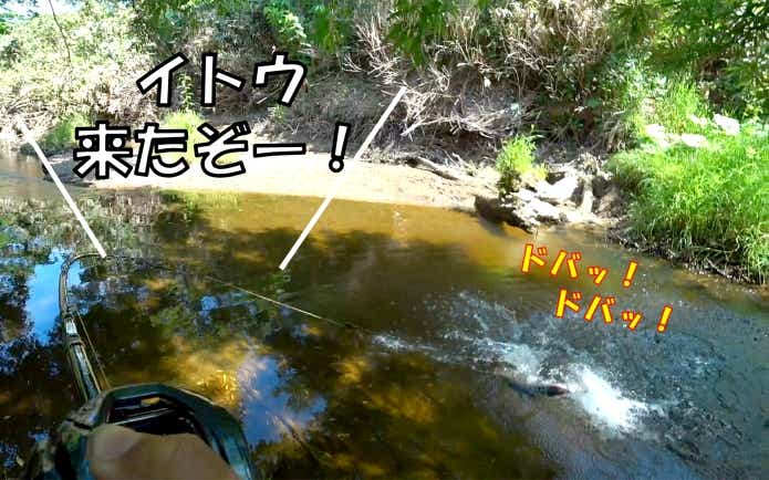イトウ　釣り　ファイト