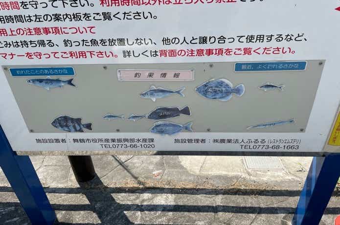 舞鶴親海公園の釣り物