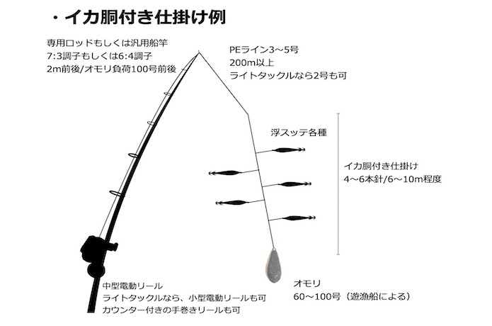 若狭・小浜・敦賀】マイカ釣りを元釣具屋が解説！仕掛け・タックルの選びの要点 | TSURI HACK[釣りハック]