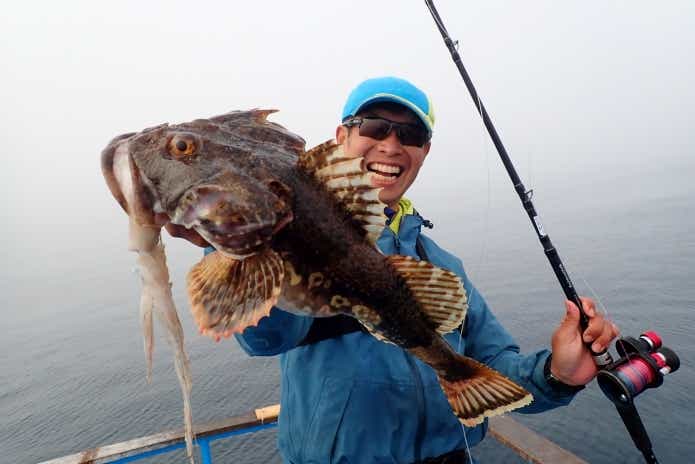 オオカミ魚釣り　外道　カジカ