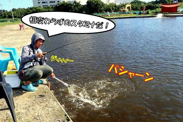 コロソマ　釣り