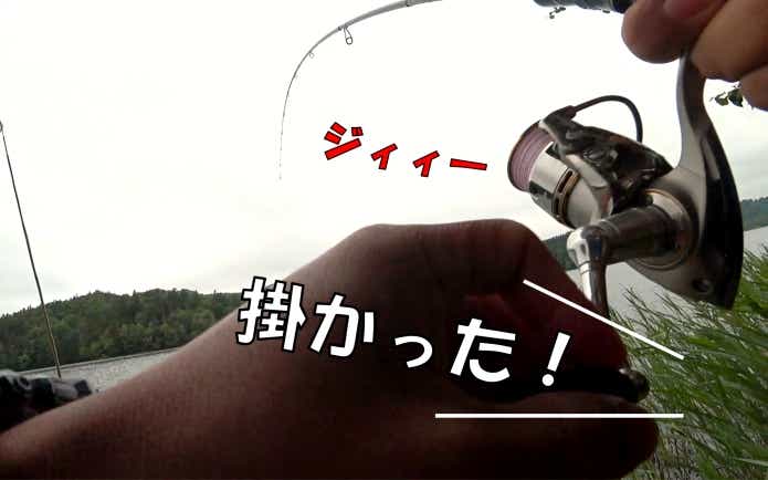 チミケップ湖　釣り　スプーン