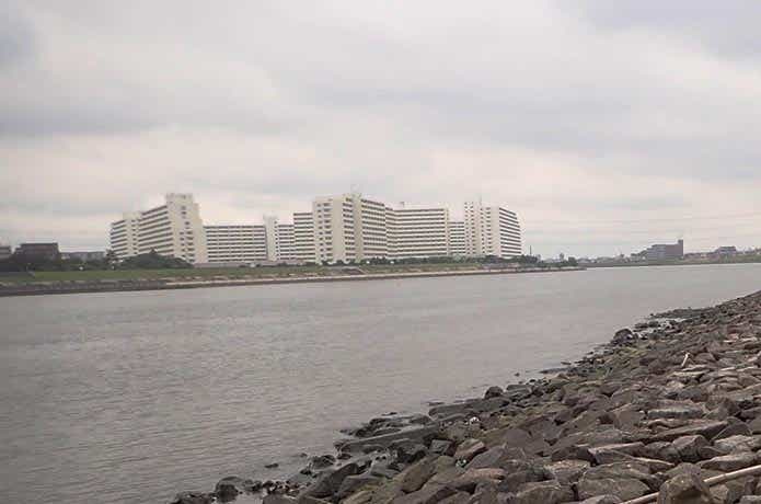 河口エリア
