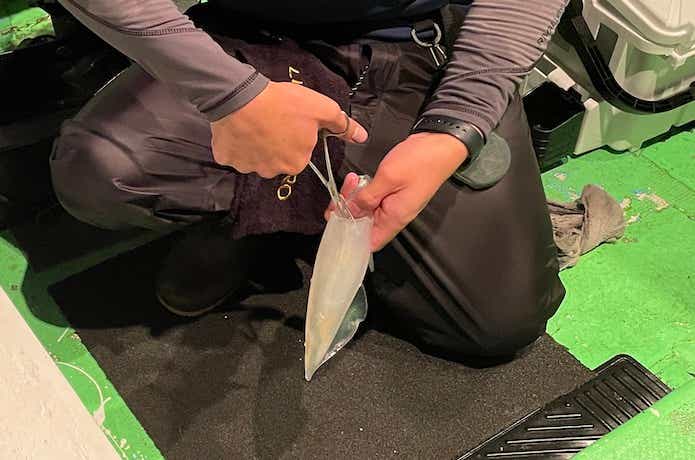墨袋キャッチャーの画像