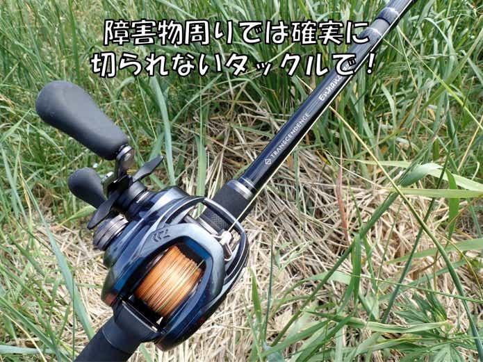 イトウ釣り　タックル　PE