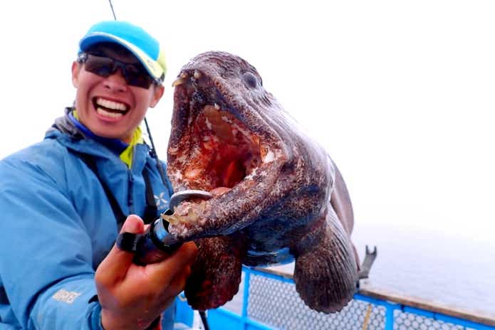 オオカミウオ　釣り