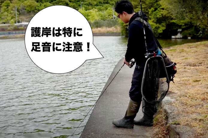 足元を狙うバス釣り