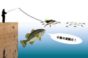バス釣りのナチュラルなアプローチ