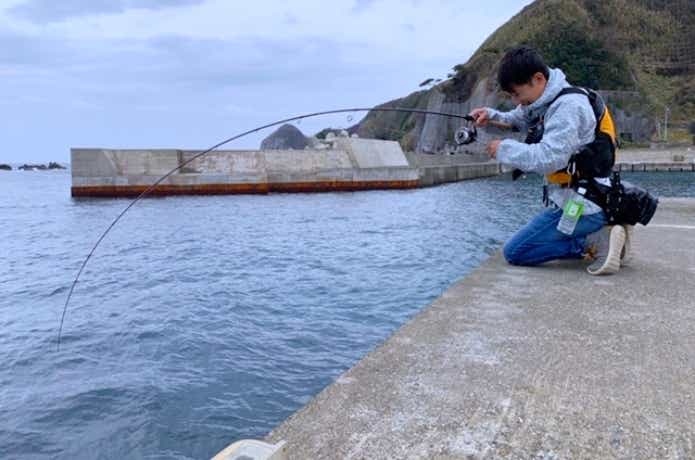 ロッドに魚がヒット
