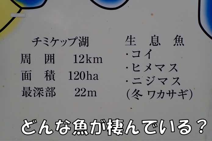 チミケップ湖　釣り　対象魚