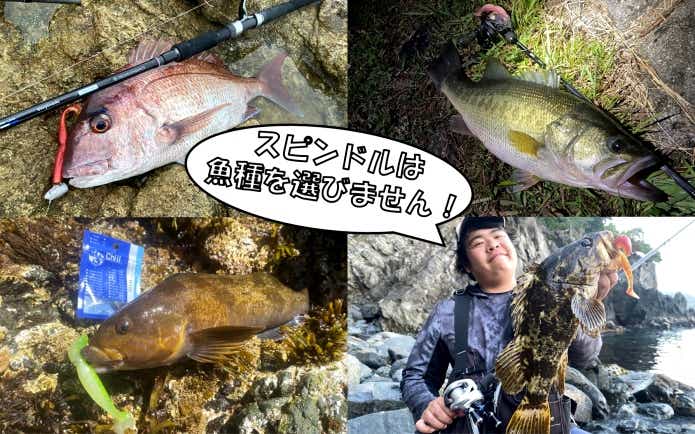 魚種無制限　スピンドルワーム