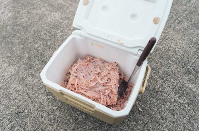 コマセ
