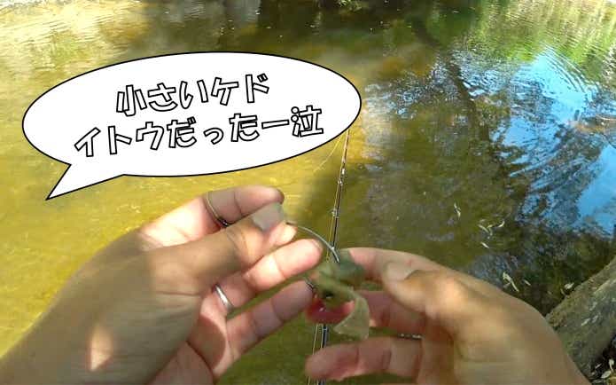 イトウ釣り　北海道　小川
