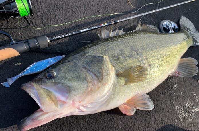 19ヴァンキッシュ　琵琶湖
