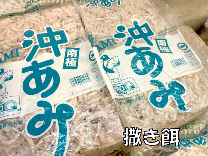 撒き餌　オキアミ　アミエビ