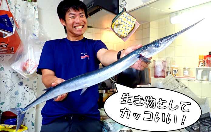 ダツ　オキザヨリ