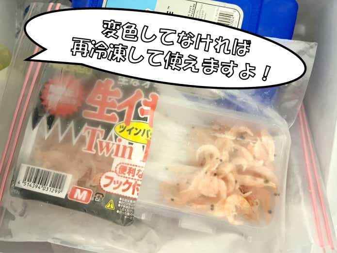 オキアミ　保管方法