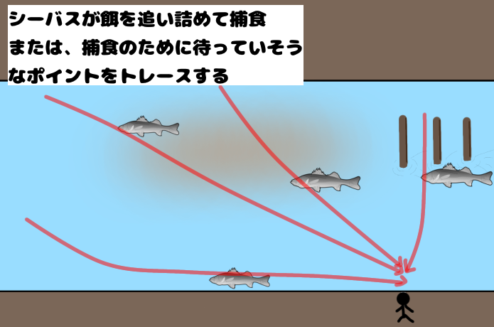 捕食しやすそうな場所