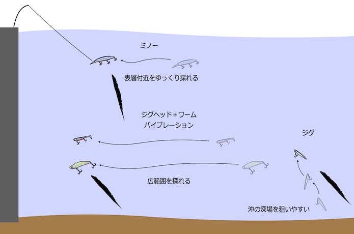 タチウオをルアーで釣るコツ