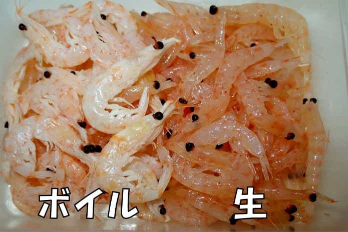 ボイル　生　オキアミ