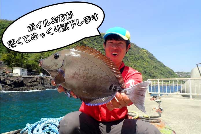 ボイルオキアミ　違い