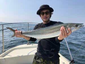 青物の釣果