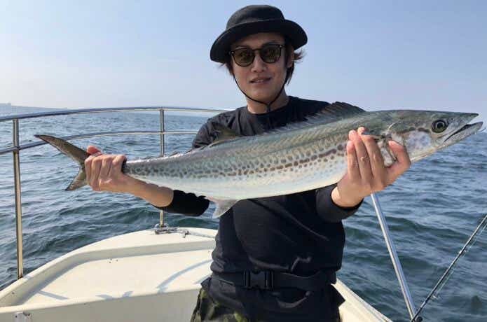 青物の釣果