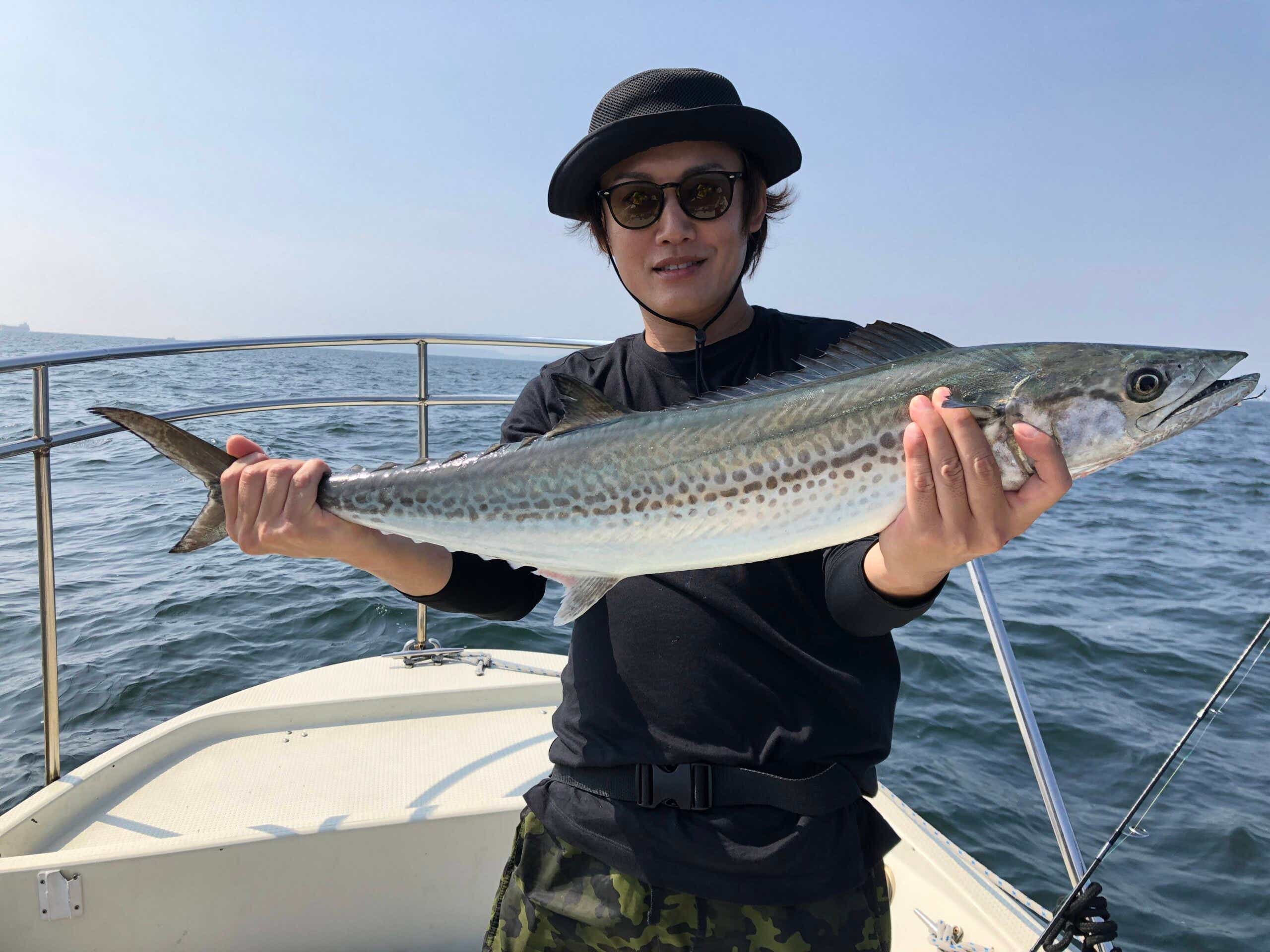青物の釣果
