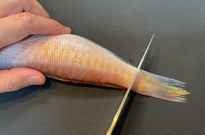 魚体を傷つけない